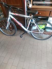MTB misura 26 