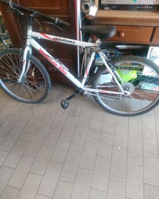 MTB misura 26 
