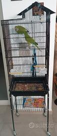 Gabbia per pappagalli 