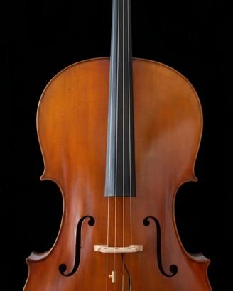 violoncello