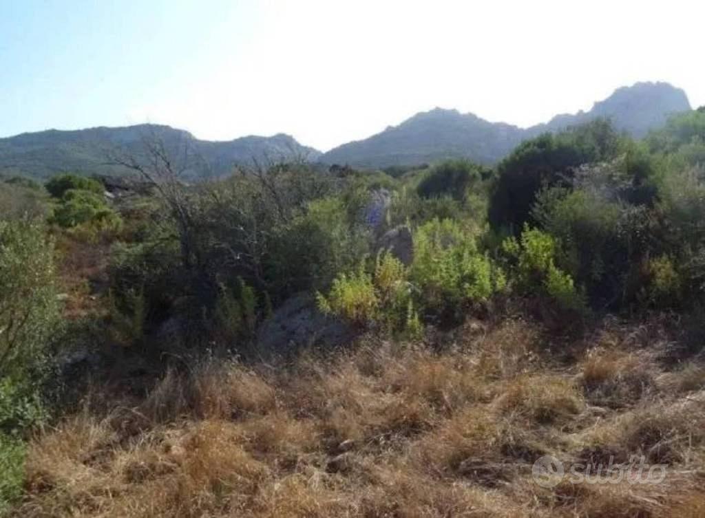 Immobile in asta di 5745 m² a Olbia - Vista 5