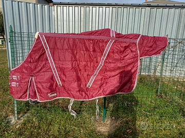 Coperta cavallo