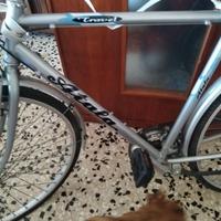 bici da passeggio