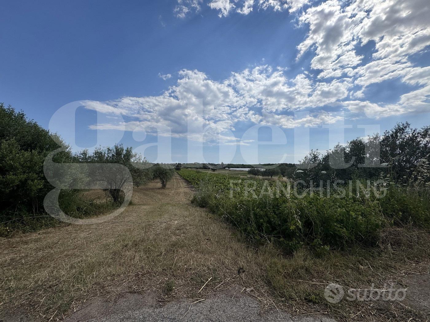 Terreno Agricolo Noto [Cod. rif 3321587VCG] - Vista 5