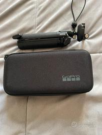 Go pro 10
