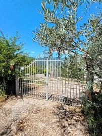 CASA INDIPENDENTE A OLEVANO ROMANO
