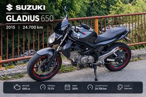 Suzuki Gladius 650