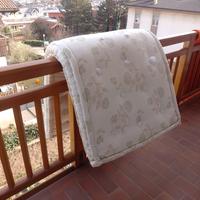 lana per materassi o altro 