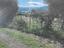 Immagine 7