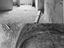 Immagine 16