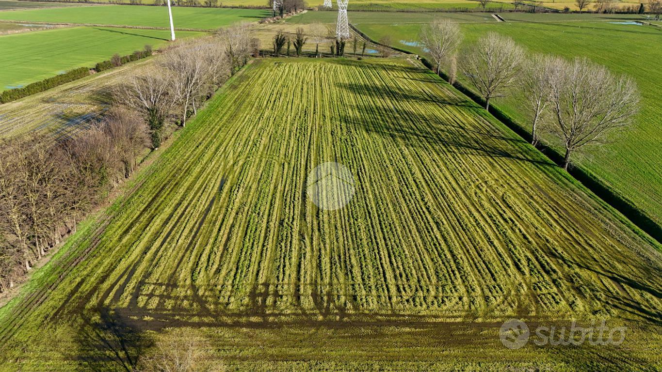 TER. AGRICOLO A SANTO STEFANO LODIGIANO - Vista 4