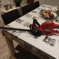 Taglia siepi elettrico usato poche volte 