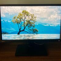 Monitor BENQ BL2420PT 2k QHD 24 pollici