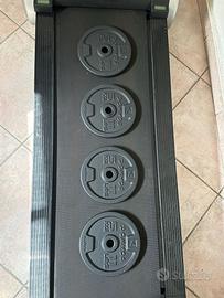 4 Dischi Ghisa Decathlon 5 kg
