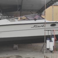 Fiart Super Arrow diesel