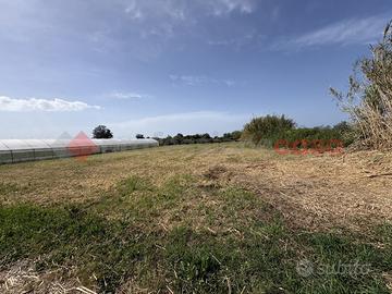 Terreno Agricolo Terracina [Cod. rif 3310884VCG]