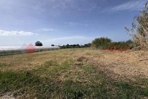Terreno Agricolo Terracina [Cod. rif 3310884VCG]
