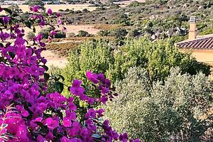 Vacanza Sardegna 2027 veranda vista mare