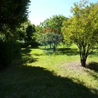 Terreno Edificabile - Bisuschio