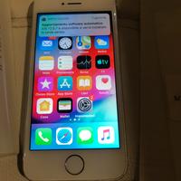 Apple IPhone 5s White/Silver