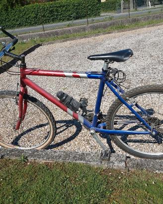 bici MTB usata