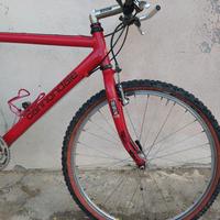 Mtb Cannondale