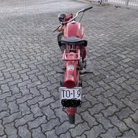 Guzzi cardellino