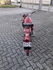 Guzzi cardellino