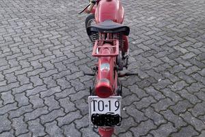 Guzzi cardellino
