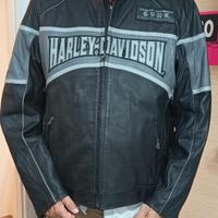 giubbotto pelle Harley Davidson 