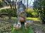 Immagine 13