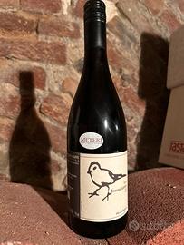 Les Insouciantes 2022 – Didier Grappe