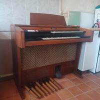 organo