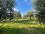 Immagine 28
