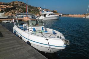 Ranieri Shadow 22