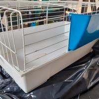 Gabbie per conigli e per nutrie