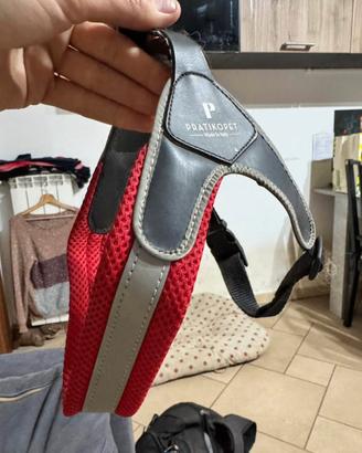 Pettorina Pratikopet