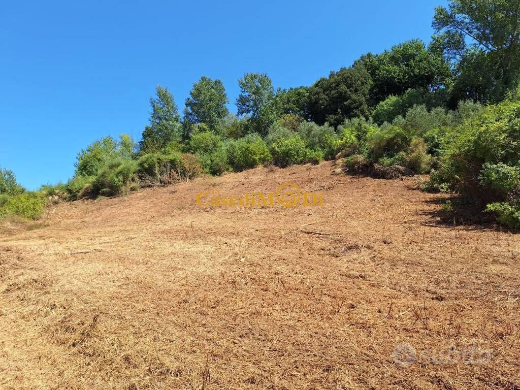 Terreno di 8000 m² a Fauglia - Altro