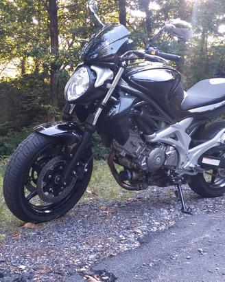 suzuki gladius