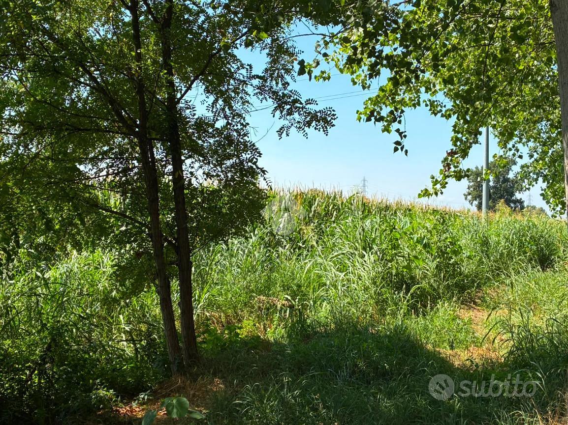 TER. AGRICOLO A ALBAIRATE - Vista 4
