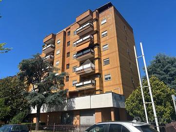 5 LOCALI A LATINA
