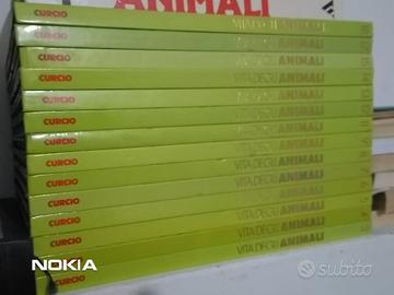 VITA DEGLI ANIMALI LIBRI PER BAMBINI ILLUSTRATI