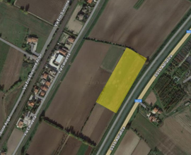 Vendita terreno agricolo a Monselice mq 14300