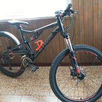 mtb Rock Rider biamortizzata