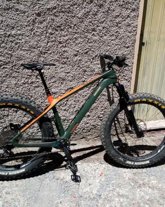 fat bike canyon dude