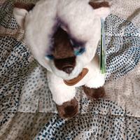 Peluche Gatto Siamese