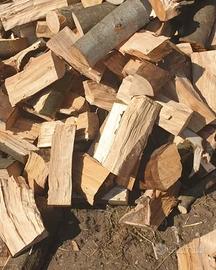 legna da ardere 3