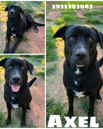 Una nuova famiglia per Axel