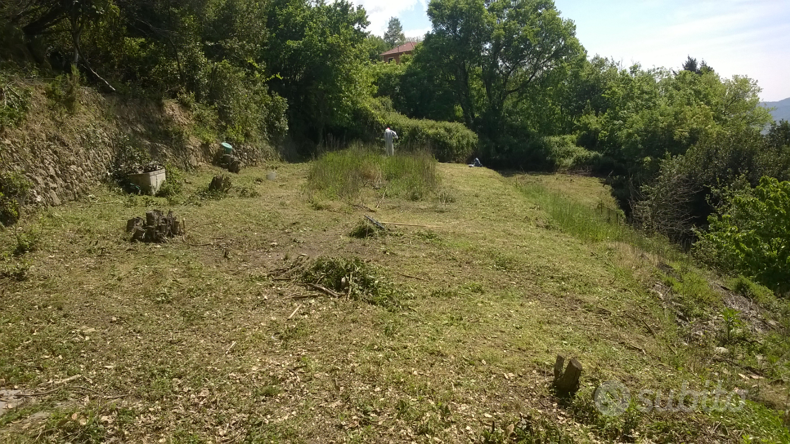 Casa di campagna e terreno - Vista 3