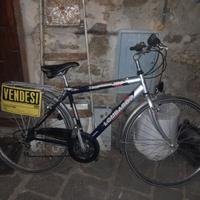 Bicicletta da donna Lombardo Trekking 200